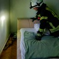 Lisica ušla u spavaću sobu kod Petrinje, smestila se pored kreveta: Šokirana vlasnica zvala vatrogasce u pomoć