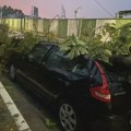 Komunalac upozorava: Ne parkirajte ispod drveća tokom najavljenog nevremena