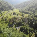 Nova šansa za jednu od najugroženijih vrsta ptica u Srbiji: Oglasilo se DZPPS: "Danas je počeo važan projekat"