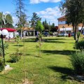 U selu nadomak Zrenjanina niče prvi medonosni vrt, svi građani pozvani da pomognu