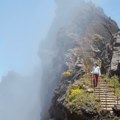 Zaronite u maglu atlantske prašume na izložbi „Sull Lull” u Milenijumskoj kuli