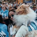 Raspored utakmica na Svetskom prvenstvu za utorak: Argentina počinje odbranu titule