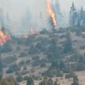 Jako teška situacija u Kladovu usled požara: Preko 800 hektara zahvaćeno vatrom! Vanredno u tri naselja