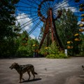 ‘Atomski fotografi’ nisu dali da se sakrije istina o Černobilu