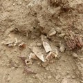 Ostaci pokojnika razbacani po putu: Prokopan put preko starog srpskog groblja u Severnoj Mitrovici (video)