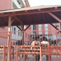 Za nove krevete i protiv-požarni sistem, Ustanovi za odrasle i starije u Leskovcu odobreno 4,5 miliona dinara