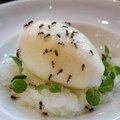 Vlasnik cenjenog restorana koristio mrave u desertima zbog čega bi mogao da završi u zatvoru