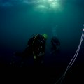 "Mediteran je zauvek izgubljen, promene su nepovratne": Oglasili se stručnjaci, stižu opasne vrste u more