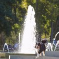 Vikend u znaku sunca, do 34 stepena – u ponedeljak promena vremena