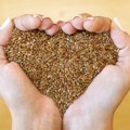 Laneno seme: Superhrana bogatija omega-3 kiselinama od lososa i vlaknima od ražanog hleba