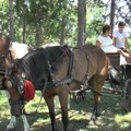 Skokovi padobranom, pa FIJAKERIJADA na Hipodromu