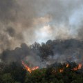 Veliki šumski požari na severnoj hemisferi doprinose emisiji ugljenika