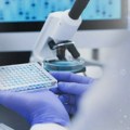 U Japanu pronađen gigantski virus koji se razmnožava na do sada neviđen način