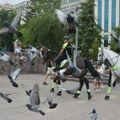 Fajnenšel tajms: Uoči samita NATO u Turskoj uhapšeni novinari, opozicioni aktivisti i jedan komičar