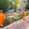 EKIPE „MEDIANE“ ŠIROM NIŠA: Čišćenje ulica i parkova, košenje, polivanje i orezivanje drveća