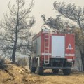 Kako su srpski i grčki vatrogasci spasli naselje u Nea Anhijalosu