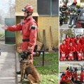 Pokazna vežba vatrogasaca-spasilaca u školi “Laza Kostić” Veliki broj učenika okupio se da nauči da zaštiti sebe i…