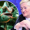 "Paparaco": Jovaka Jolić uhvaćena na stanici, ljudi se pitaju šta će se desiti kad po nju dođe "reptil"