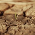 Evropa na ivici klimatske izdržljivosti: Rekordni toplotni talasi i suša pogađaju kontinent
