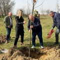130 novih sadnica u Maloj Biljanici