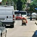 Kako se osobe sa invaliditetom zaista kreću kroz Leskovac: Između spuštenih ivičnjaka i nesavesnih vozača