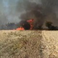 Veliki požar kod Guberevca: Vatra preti da zahvati separaciju, vatrogasci na terenu – VIDEO