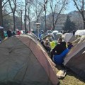 Studenti protiv blokada: Ko su učesnici „sabora“ u Pionirskom parku (VIDEO)