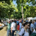 Erdevički park po 26. put carstvo kulena