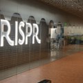 CRISPR tehnologija može da ukloni malariju