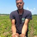 "Mi ga prodamo za 35 dinara, a marketi zarađuju na našoj muci": Proizvođač iz Čačka očajan zbog cene krompira