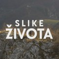 Slike života, nedelja: "Putokazi"