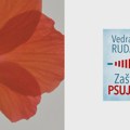 Regionalne autorke koje pomeraju granice: Glasovi koji menjaju književnost i i knjige koje ne smete zaobići