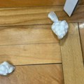 Paketići kokaina, marihuane i velika svota novca: Policija upala u stan dilera u Nišu (foto)