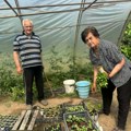 Da ne bi rasola, ko zna šta bi bilo od deda Vladana i njegove Dobrije! U braku su punih 66 godina, a kako su se našli i…