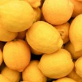 Kupci zbunjeni novim limunom – trgovci otkrivaju poreklo