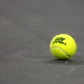 Đoković napredovao za jedno mesto na ATP listi, Zverev smenio Alkaraza