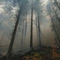 Izbio požar u naselju Ivanica u BiH, između Trebinja i Dubrovnika