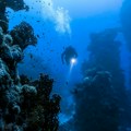 Retka "zver" viđena u Jadranu; Ronioci zabrinuti zbog jedne stvari FOTO