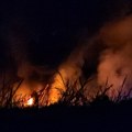 Buktinja guta objekte u kojima se nalaze životinje! Stravičan požar u Novom Sadu: Vatra guta čitavo gazdinstvo (foto, video)…