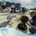 Надлежне службе на терену, вода безбедна за пиће, у току су анализе канализационог садржаја