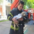 Dirljiv prizor nakon požara u Carigradskoj! Vatrogasci iz stana u plamenu spasili psa: "Bravo, vi ste heroji"
