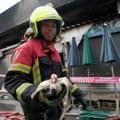 Više od 1.000 životinja izgorelo u požaru na pijaci u Bangkoku, sve bile u kavezima
