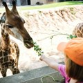 Najstariji zoo vrt na svetu nalazi se samo pet sati od Beograda i broji više od 8.000 životinja