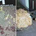 „Dnevnik” saznaje: Jedan okrivljeni za zločin na badnje veče i dalje iza rešetaka, trojica se brane sa slobode Optužnica za…