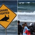 Brutalan napad morske nemani! Iskusni surfer (57) raskomadan za par sekundi! Horor na 100 metara od obale kod Sidneja…
