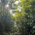 Danas pretežno sunčano, temperatura do 29 stepeni