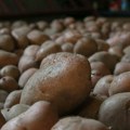 Ubacite ovo u džak sa krompirom i neće prolistati i omekšati mesecima