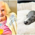Britanka proslavila 108. rođendan i otkrila tajnu dugovečnosti: „Imati pse, a ne decu“