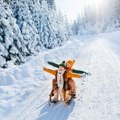 Ove nedelje Ribe očekuje poslovni uspeh, a Devica prolazi kroz promene u partnerskim odnosima