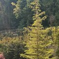 (Foto) pevačica se snimila u raskošnoj vili, a tek da vidite dvorište: Emina uživa u miru, a jednu stvar sa fotografije su…